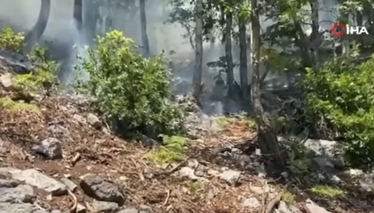 Osmaniye’deki orman yangını kontrol altına alındı