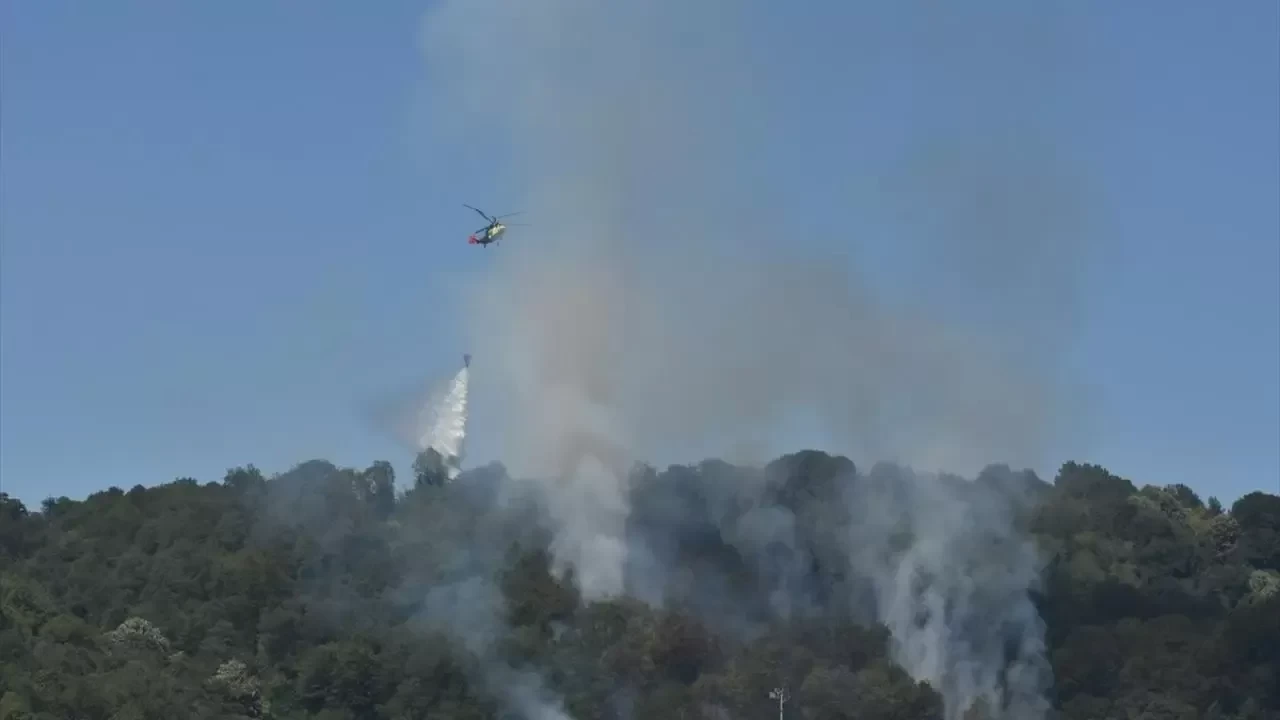 Sakarya'daki yangınla ilgili 2 kişi yakalandı
