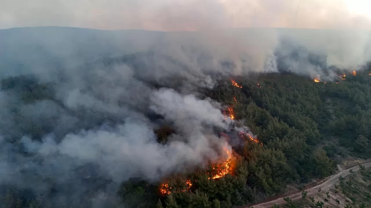 Orman yangınlarıyla ilgili 39 şüpheli tutuklandı