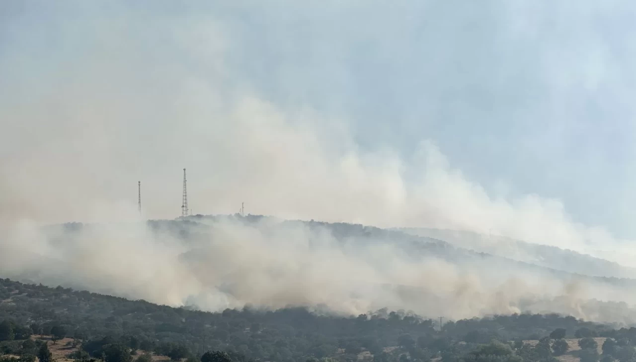 Uşak’ta tarım arazisinde başlayan yangın meşelik alana sıçradı
