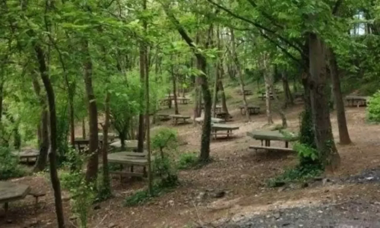 Bolu'da kontrollü piknik alanlarında "ateşli piknik" yasaklandı