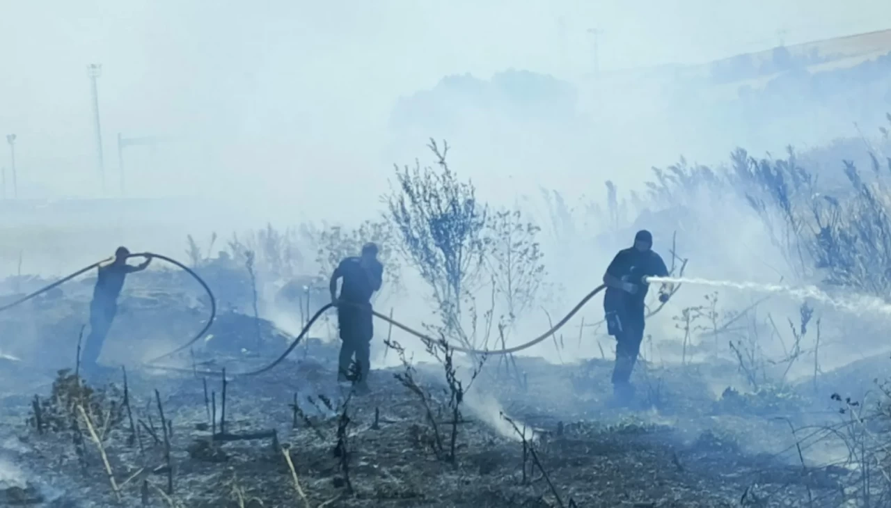 Bandırma-Bursa karayolunda arazi yangını kontrol altına alındı