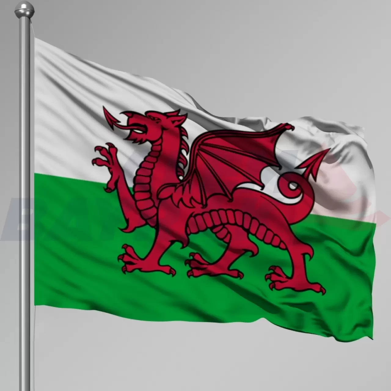 Galler Bayrağı Nedir? Üzerindeki Semboller, Renkler ve Anlamları