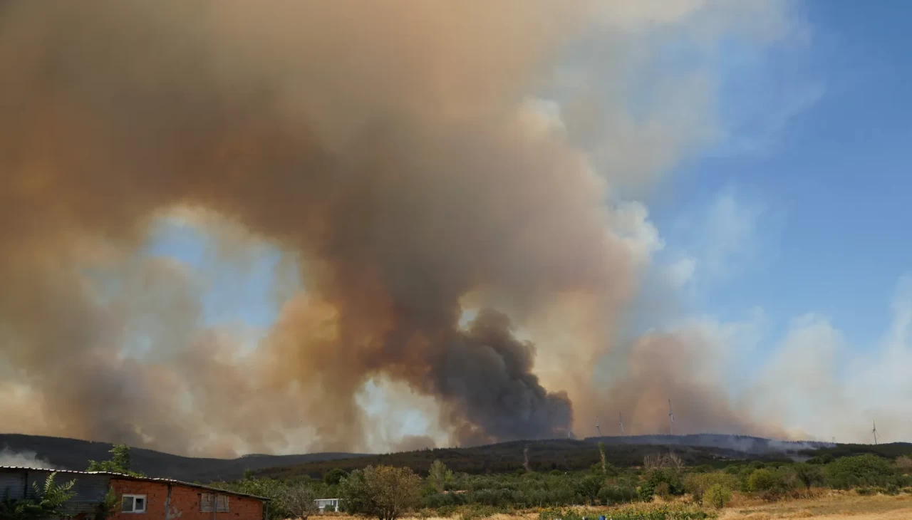 Tekirdağ'da şiddetli rüzgar yangını büyüttü! Otoyol kapatıldı, alevler ilerliyor