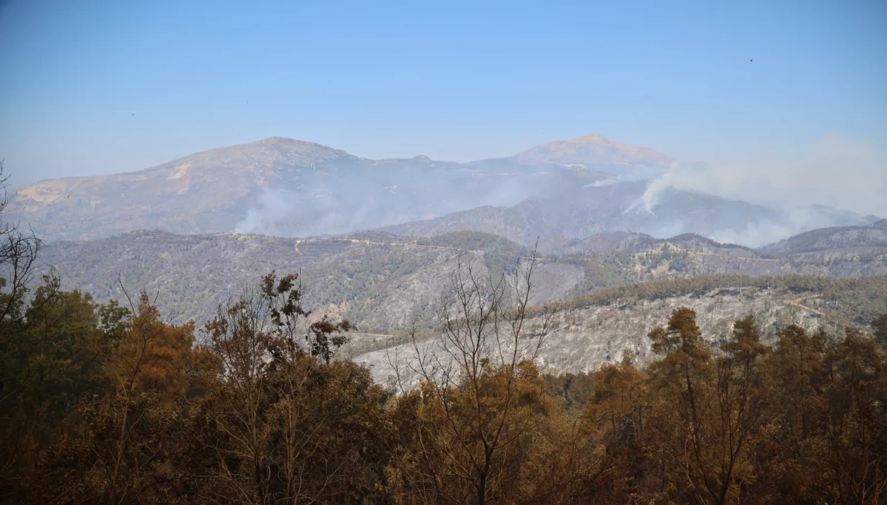 Lazkiye alev alev! 15 bin hektar küle döndü, müdahale sürüyor