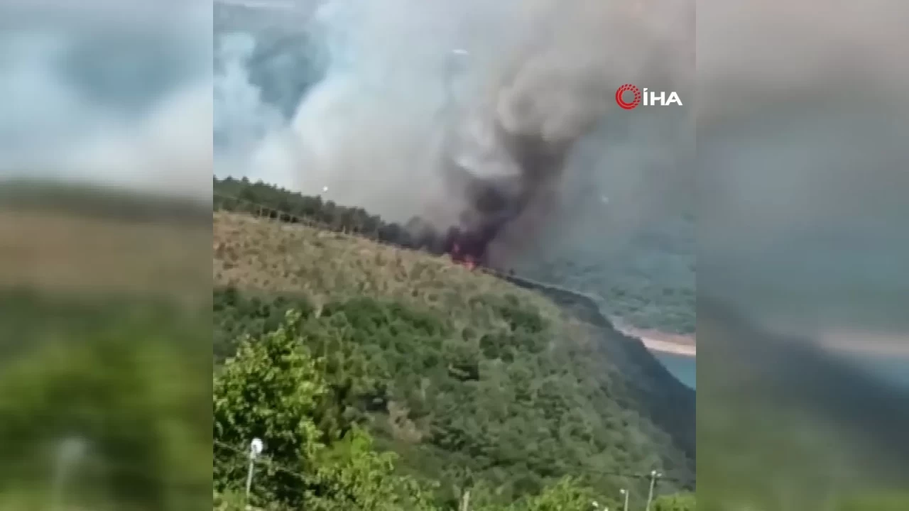 Sultangazi Kent Ormanı’nda yangın