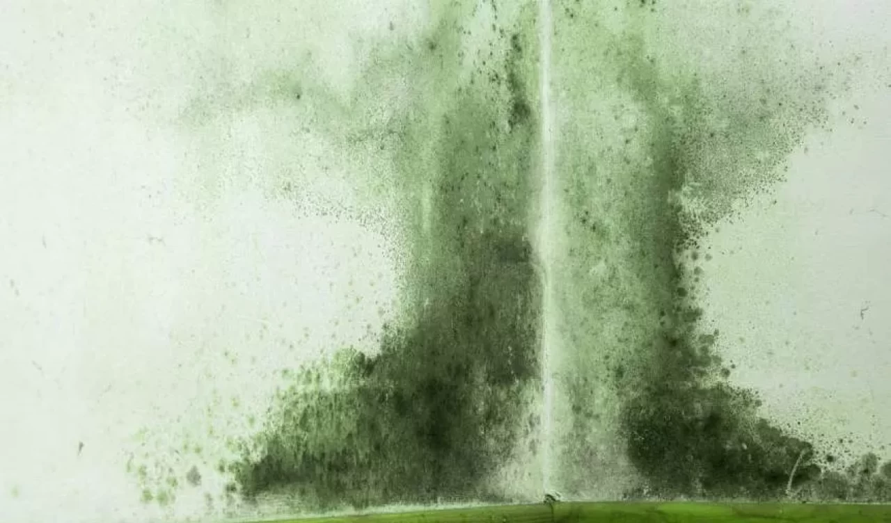 Evdeki rutubet ve küf kokularına doğal çözüm