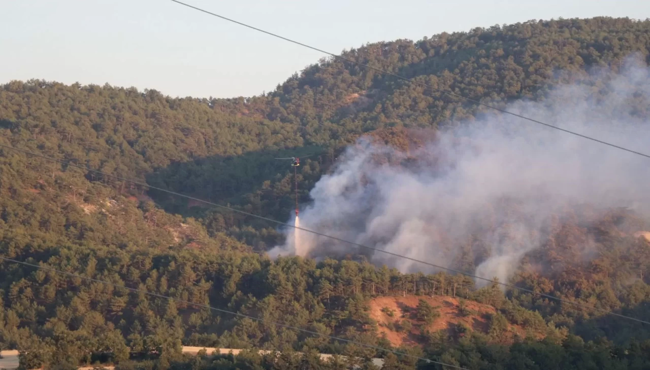 Bolu'daki orman yangınına havadan ve karadan müdahale sürüyor