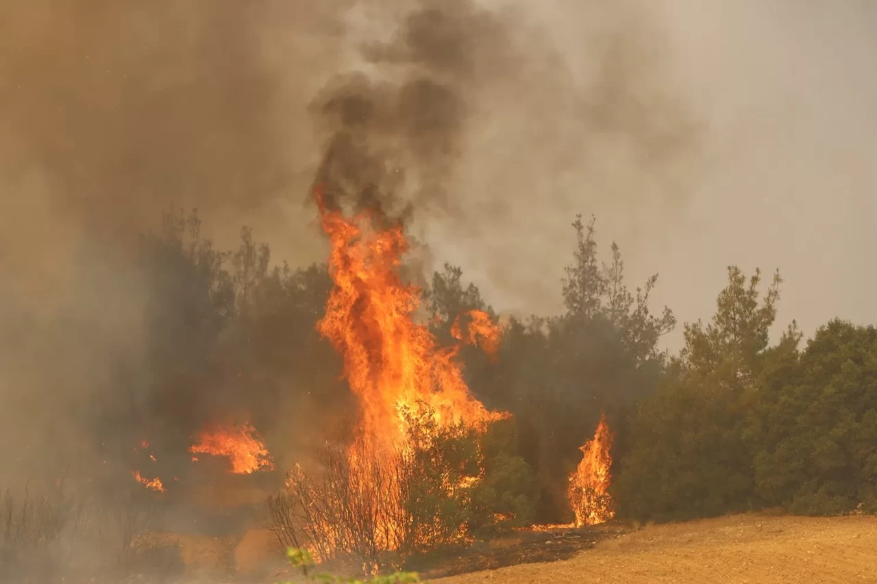 Kula'da orman yangınına müdahale sürüyor