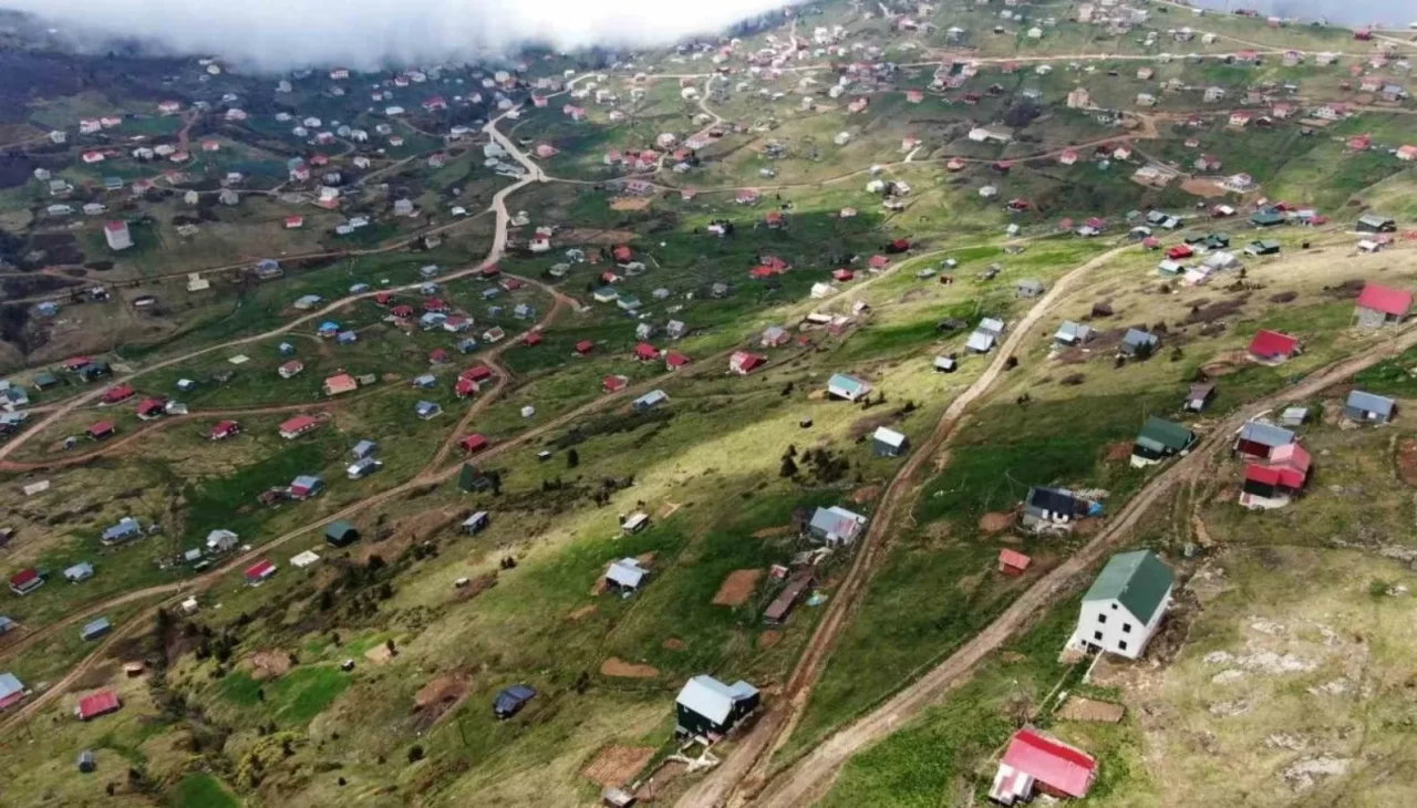 Doğu Karadeniz'in en özel yaylaları insan istilası altında