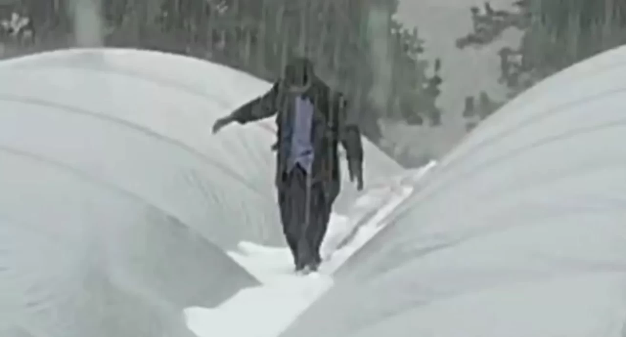 Mersin'in yüksek kesimlerinde dolu yağışı etkili oldu