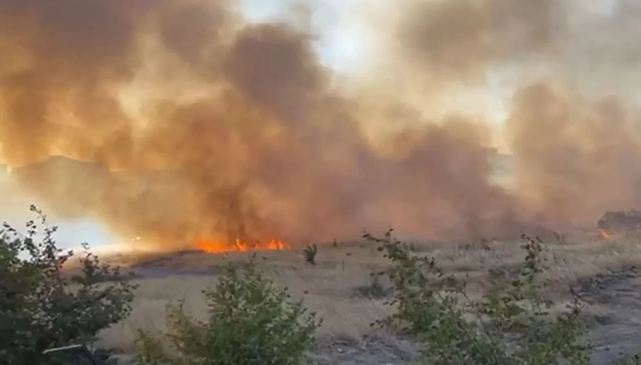 Beylikdüzü’nde otluk alanda yangın