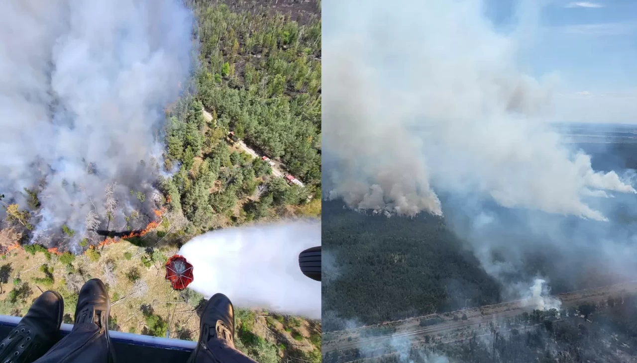 Almanya'nın üç eyaletindeki orman yangınlarıyla mücadele devam ediyor