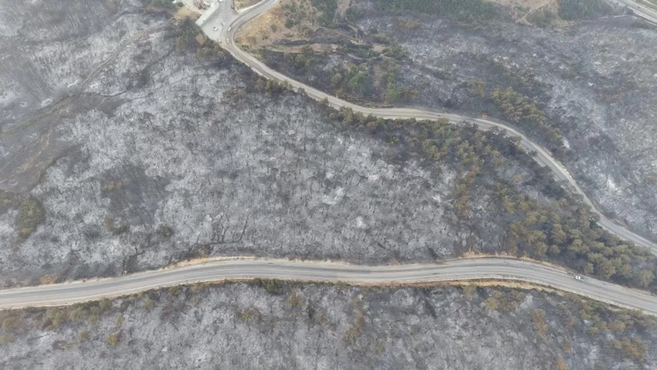 Yeşil Bursa gri oldu! Yürek yakan görüntüler