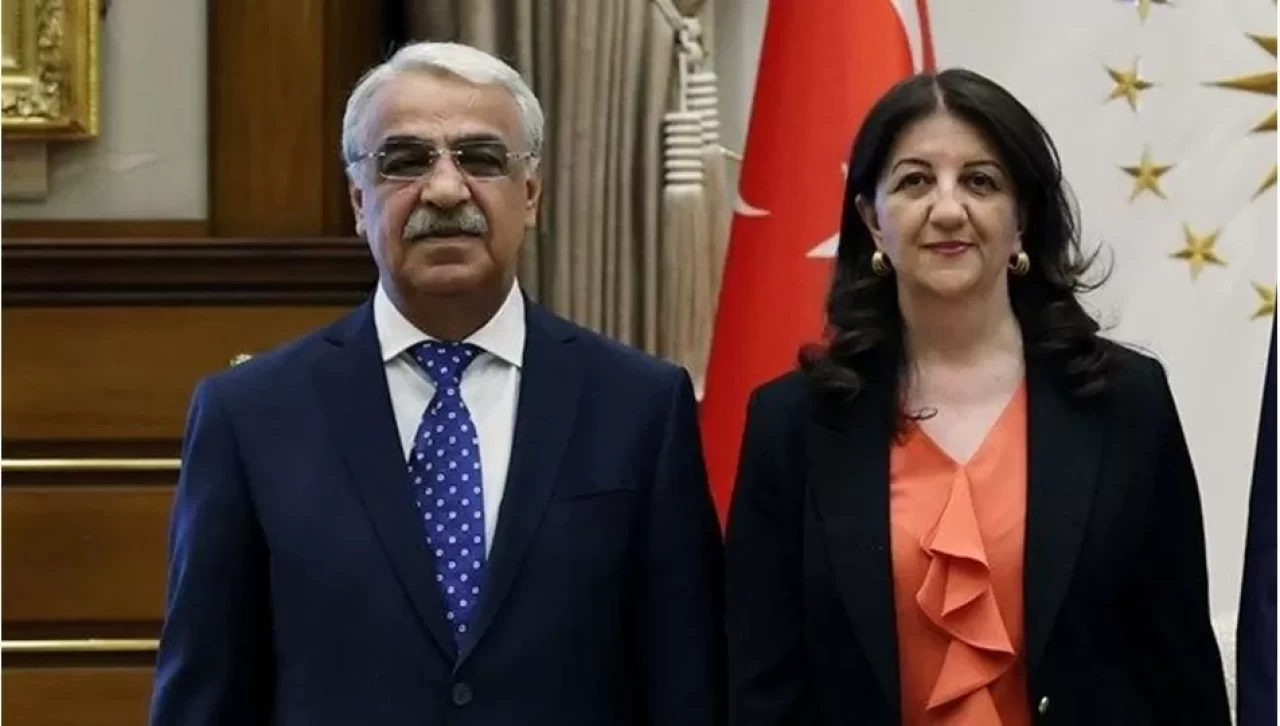 DEM heyetinden İmralı açıklaması