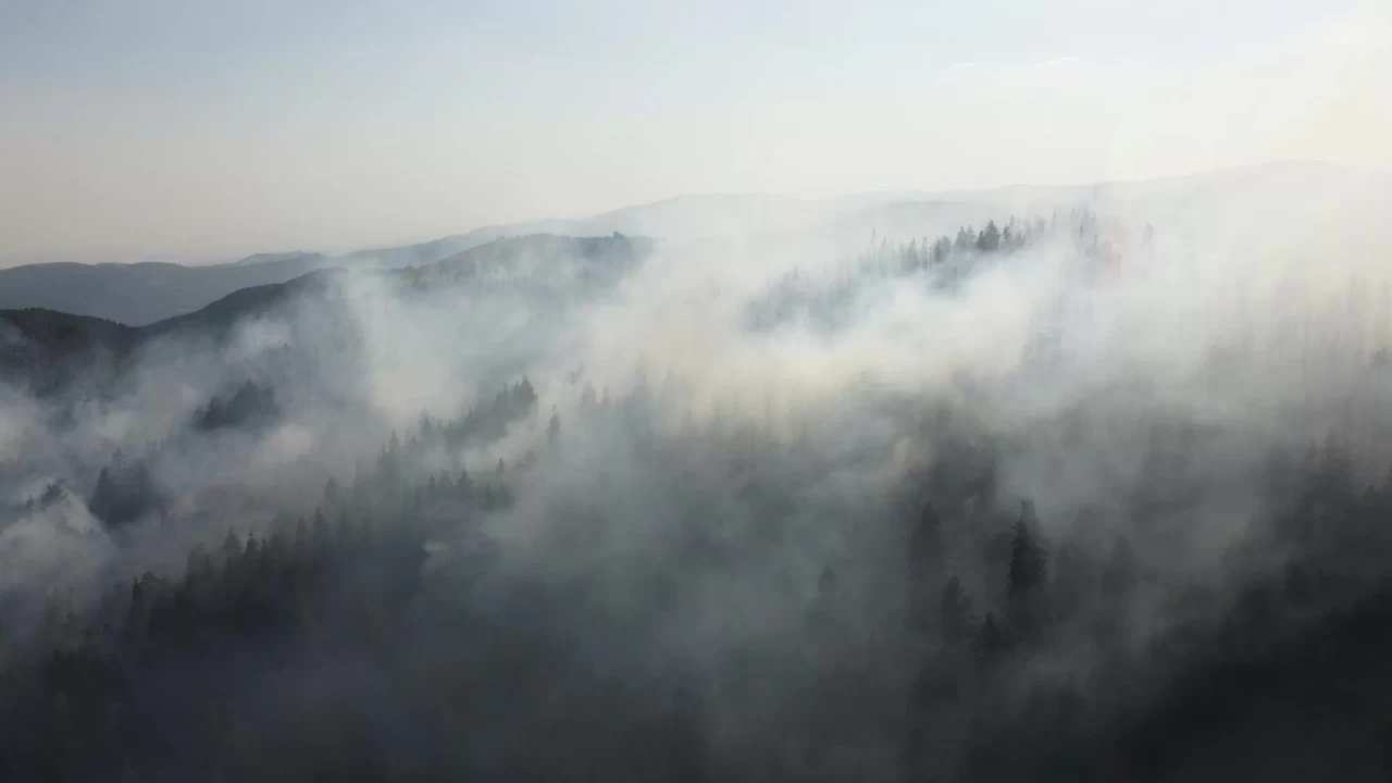 Çankırı'da orman yangını: Müdahale sürüyor