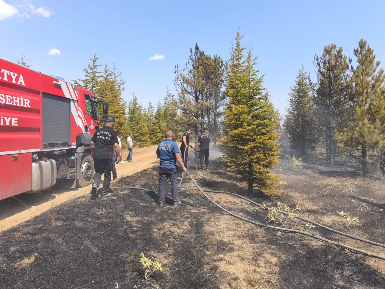 Malatya’daki orman yangını söndürüldü