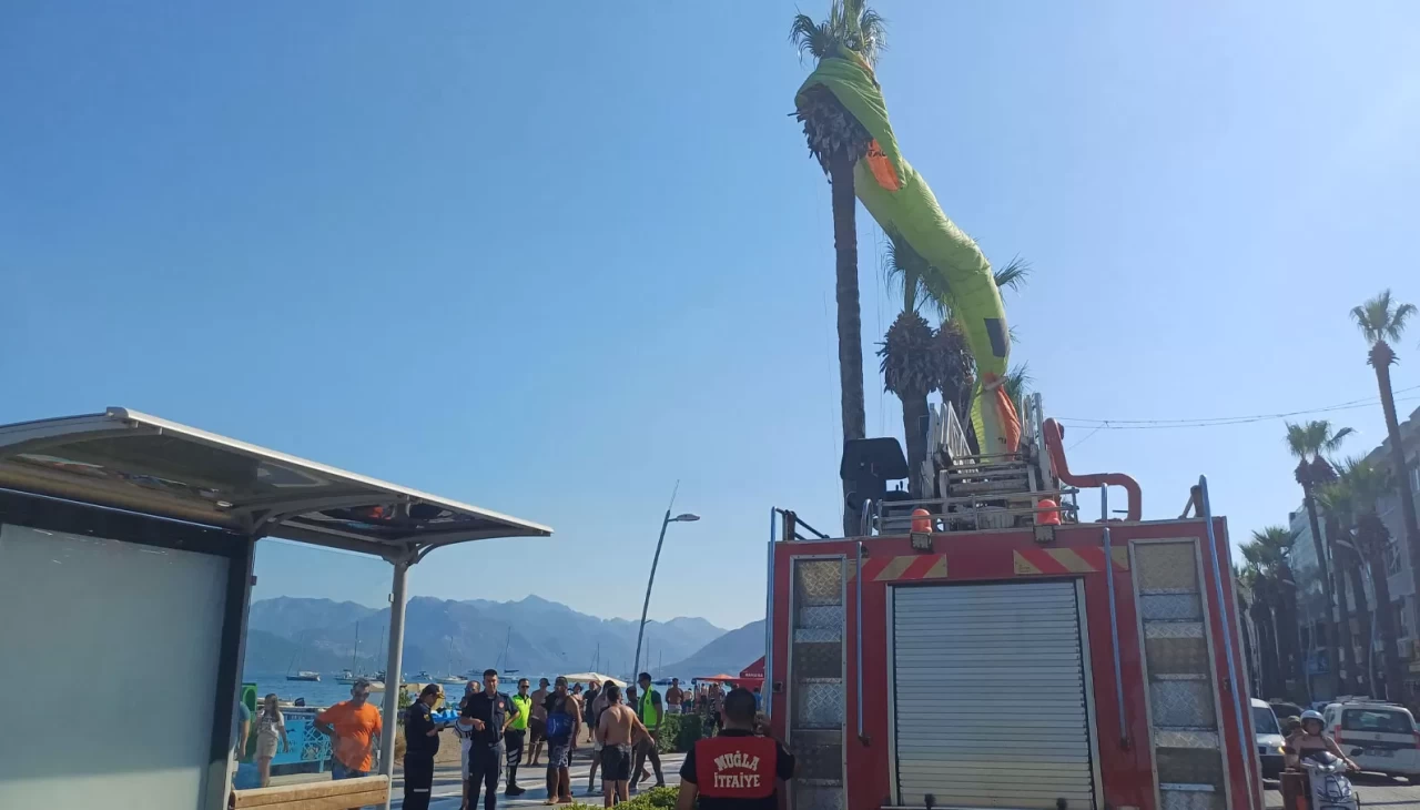 Deniz paraşütü palmiyeye takıldı