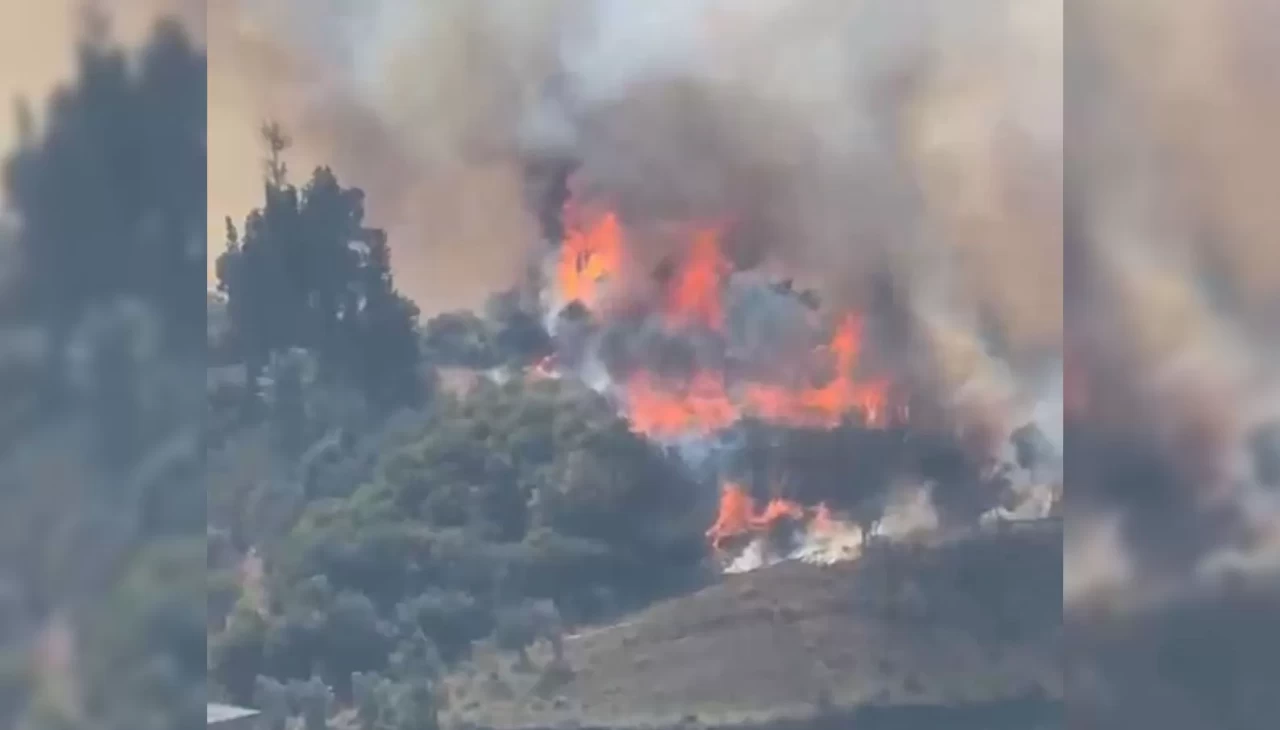 Karamürsel'de orman yangını başladı