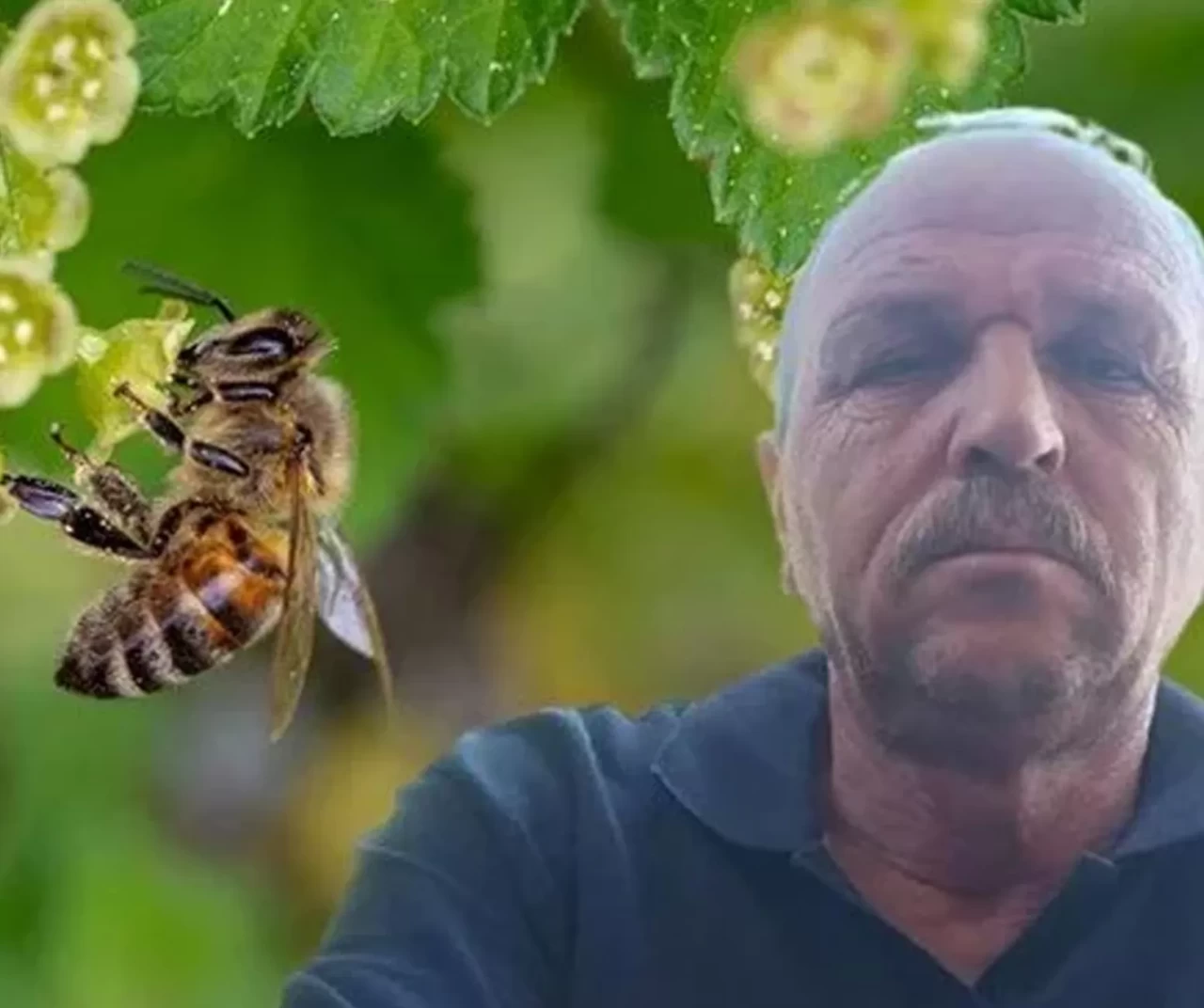 Arı sokması can aldı! Hüseyin Karataş hayatını kaybetti
