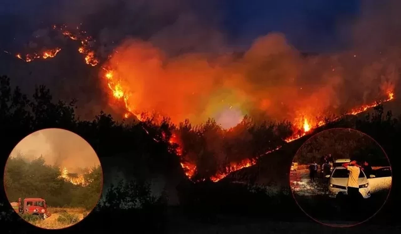 Sakarya ve Bilecik’te orman yangını! Kritik 12 saat başladı!