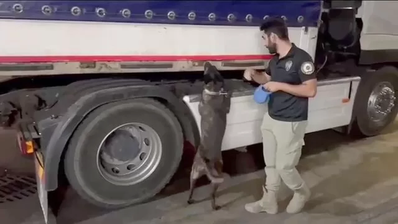 Iğdır'da uyuşturucu operasyonu: Çuvalların içinden uyuşturucu çıktı