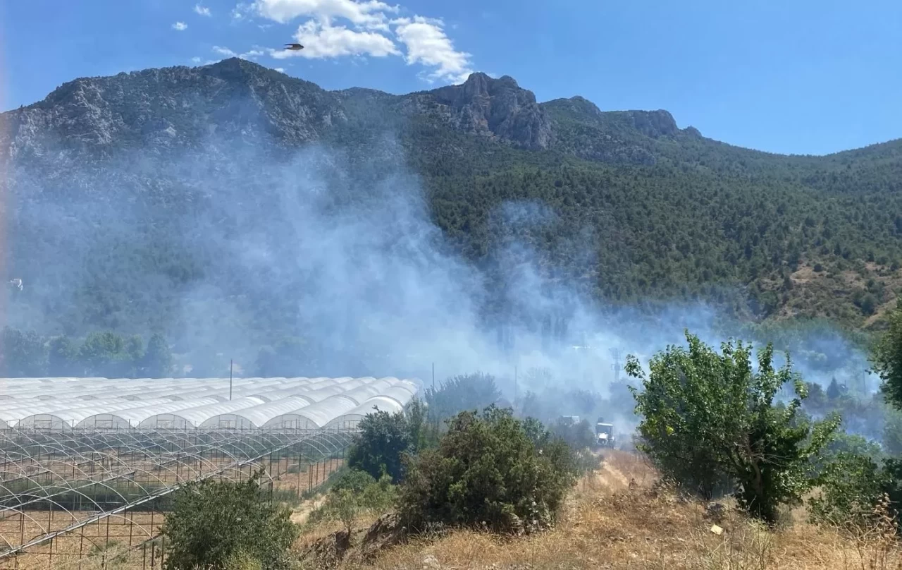 Bilecik'te tarım arazisinde çıkan yangın kontrol altına alındı