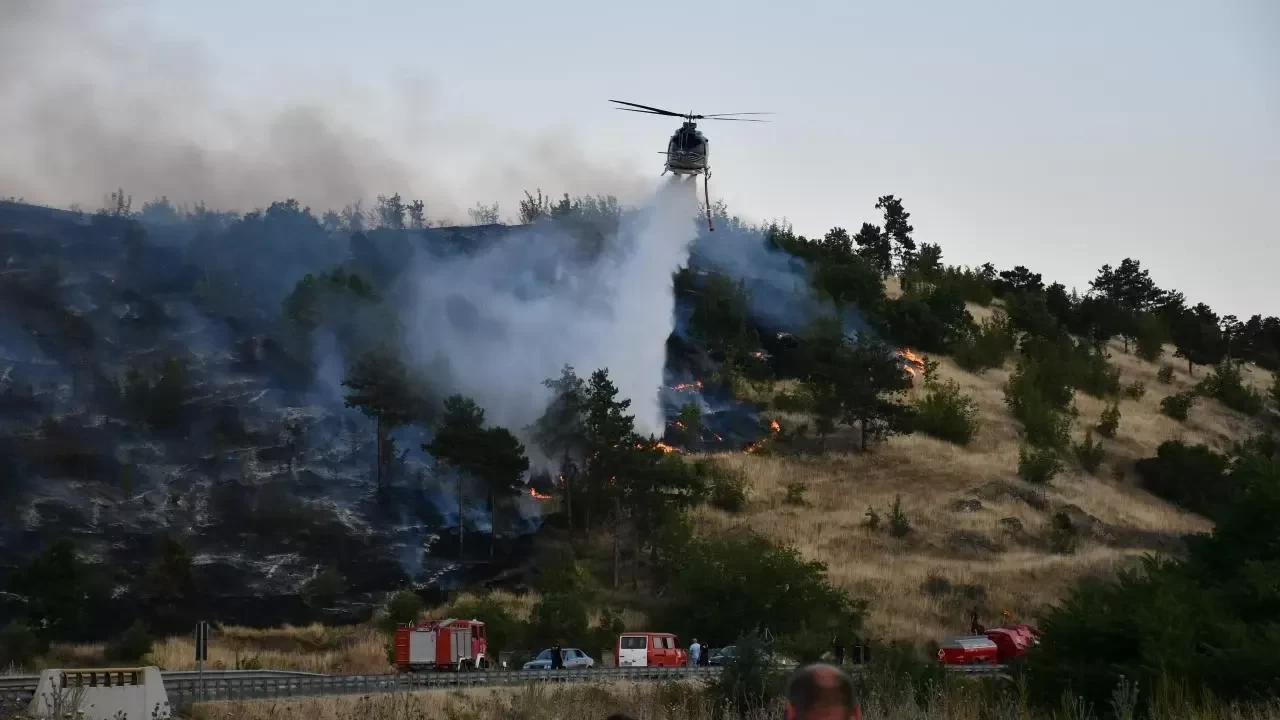 Kuzey Makedonya'da orman yangınları nedeniyle "kriz durumu" ilan edildi