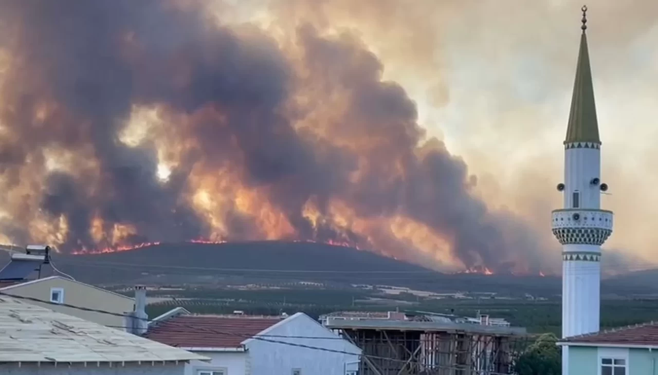 Tekirdağ'daki orman yangını tarım arazilerine sıçradı