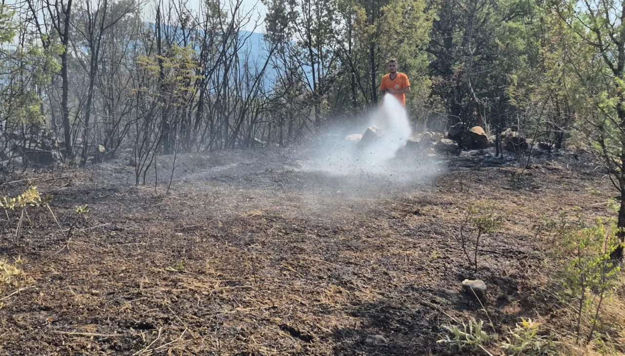 Karabük'teki orman yangınlarını söndürme çalışmaları aralıksız sürüyor