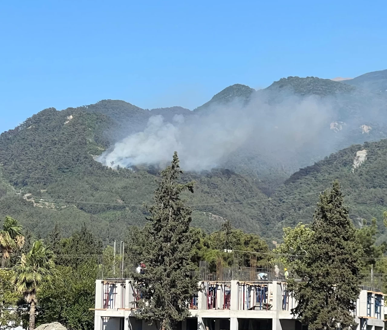 Hatay Dörtyol'da orman yangını çıktı