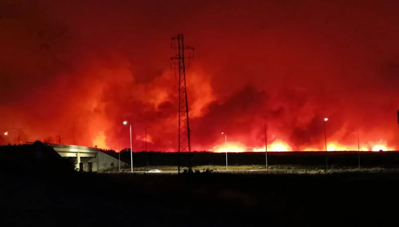 Tekirdağ'da orman yangını geceyi gündüze çevirdi