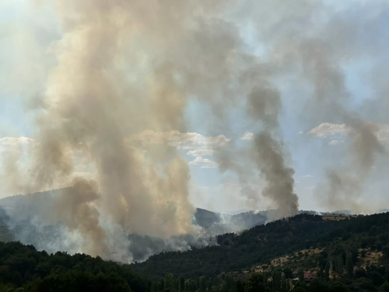 Uşak’ta orman yangını: Havadan ve karadan müdahale devam ediyor