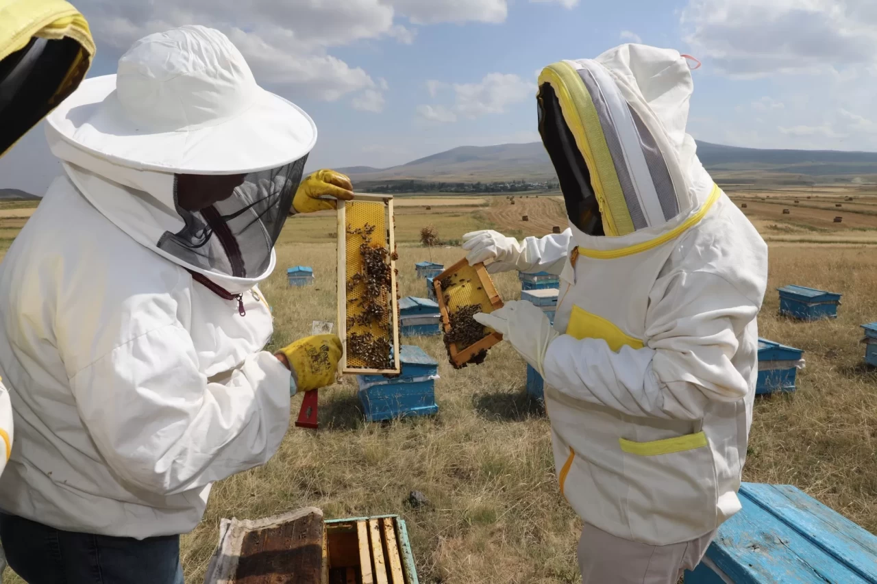 Kars’ta bal bereketi