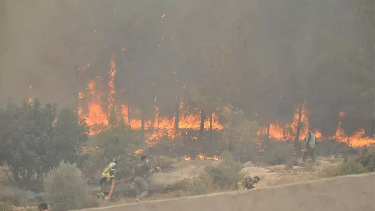 Uşak'ta çıkan orman yangını büyük ölçüde kontrol altına alındı