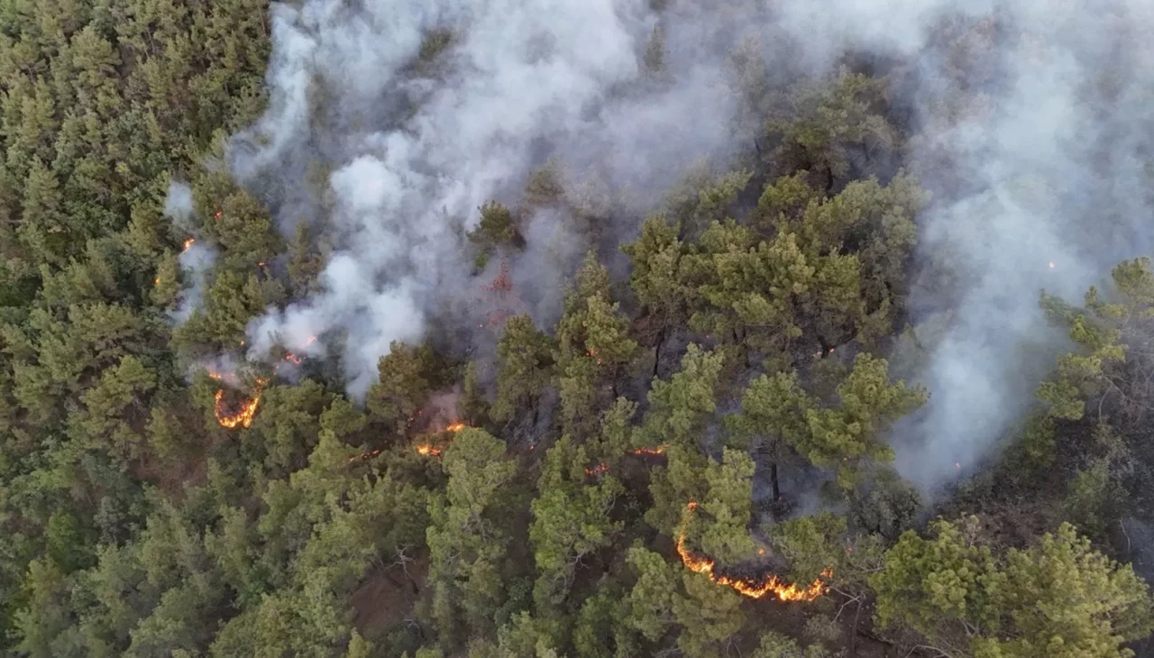 Karabük'te orman yangınına müdahale 6 saattir aralıksız sürüyor