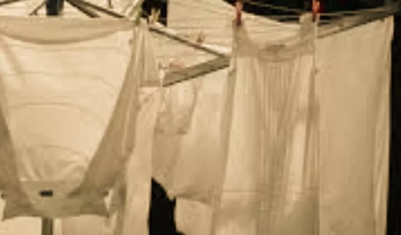 Ter kokusuna karşı en güçlü doğal malzeme hangisi?