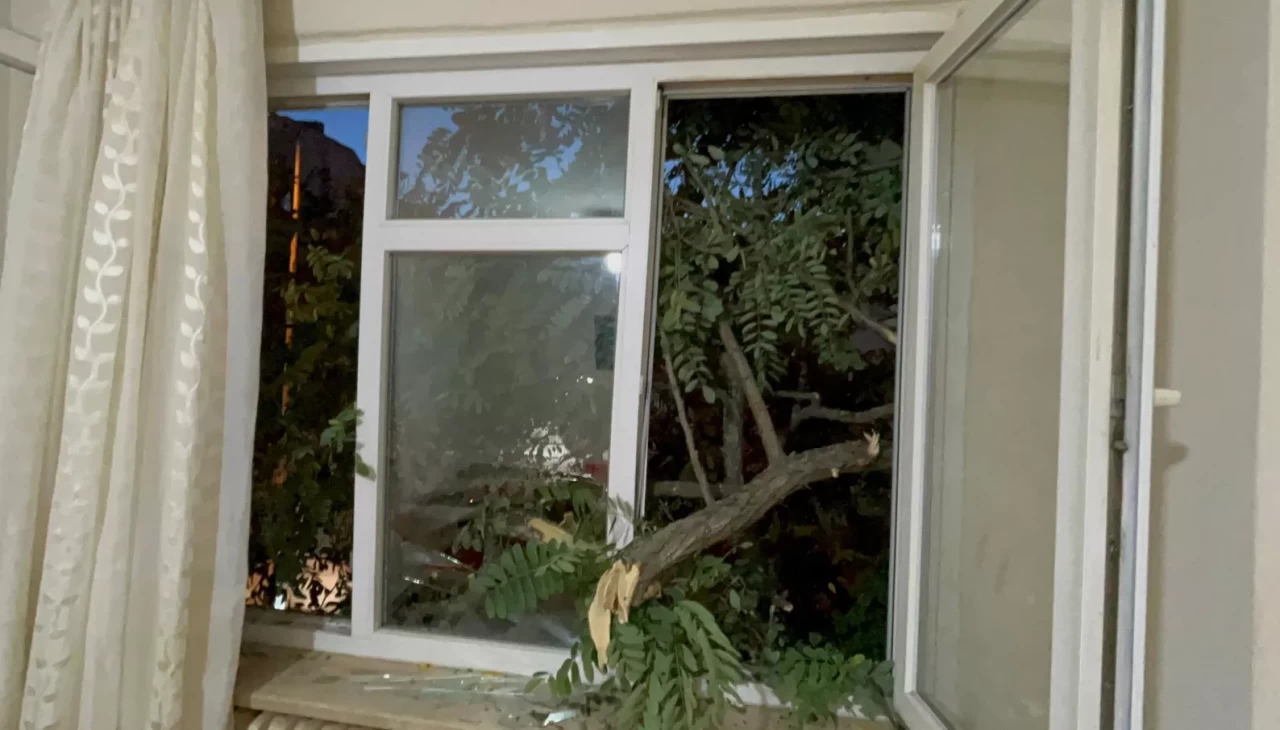 Balkonda kahve içerken üzerine ağaç devrildi