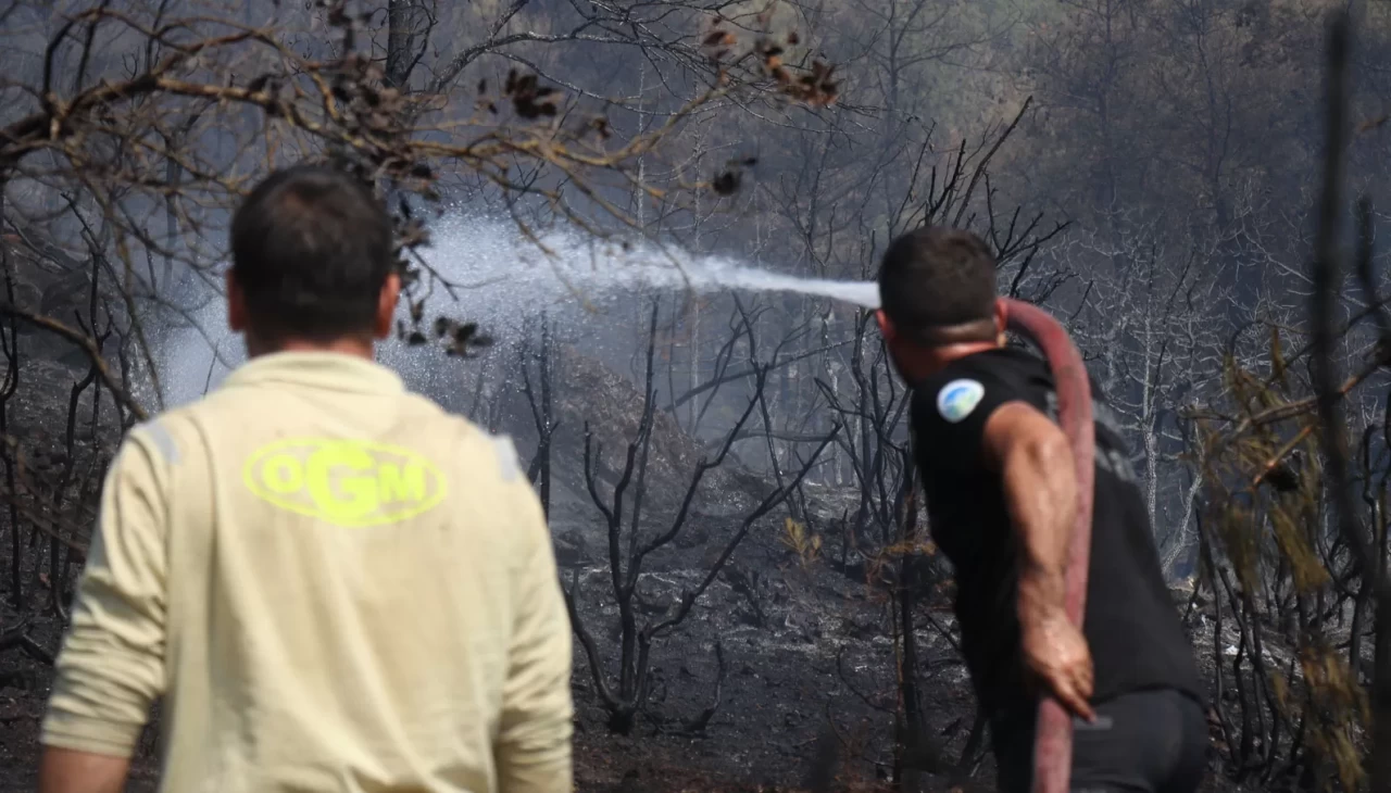 Sakarya-Bilecik sınırında alevler yeniden yükseldi