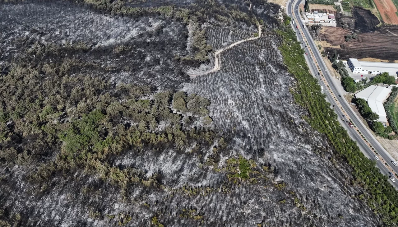İzmir'in Buca ilçesindeki orman yangınında zarar gören alanlar havadan görüntülendi