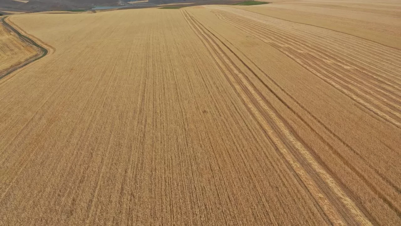 Arsa sahipleri için yeni dönem: 1 Eylül'de başlıyor