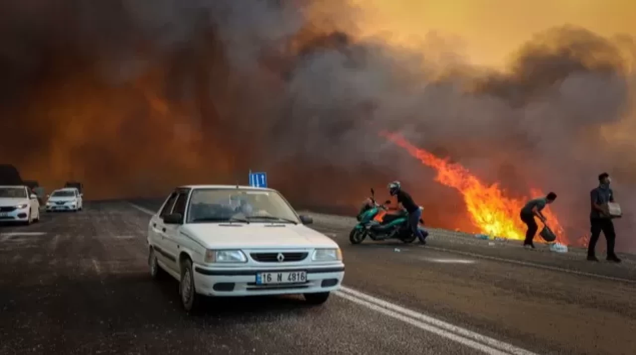 Bir orman yangını da İzmir'de! Bornova'da başladı, Buca'ya sıçradı