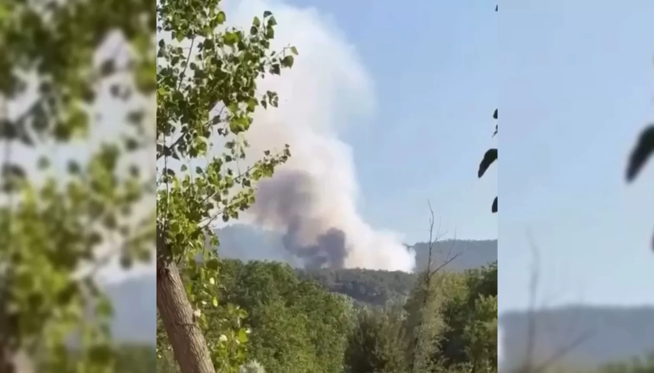 Bolu’da orman yangını! Müdahale ediliyor