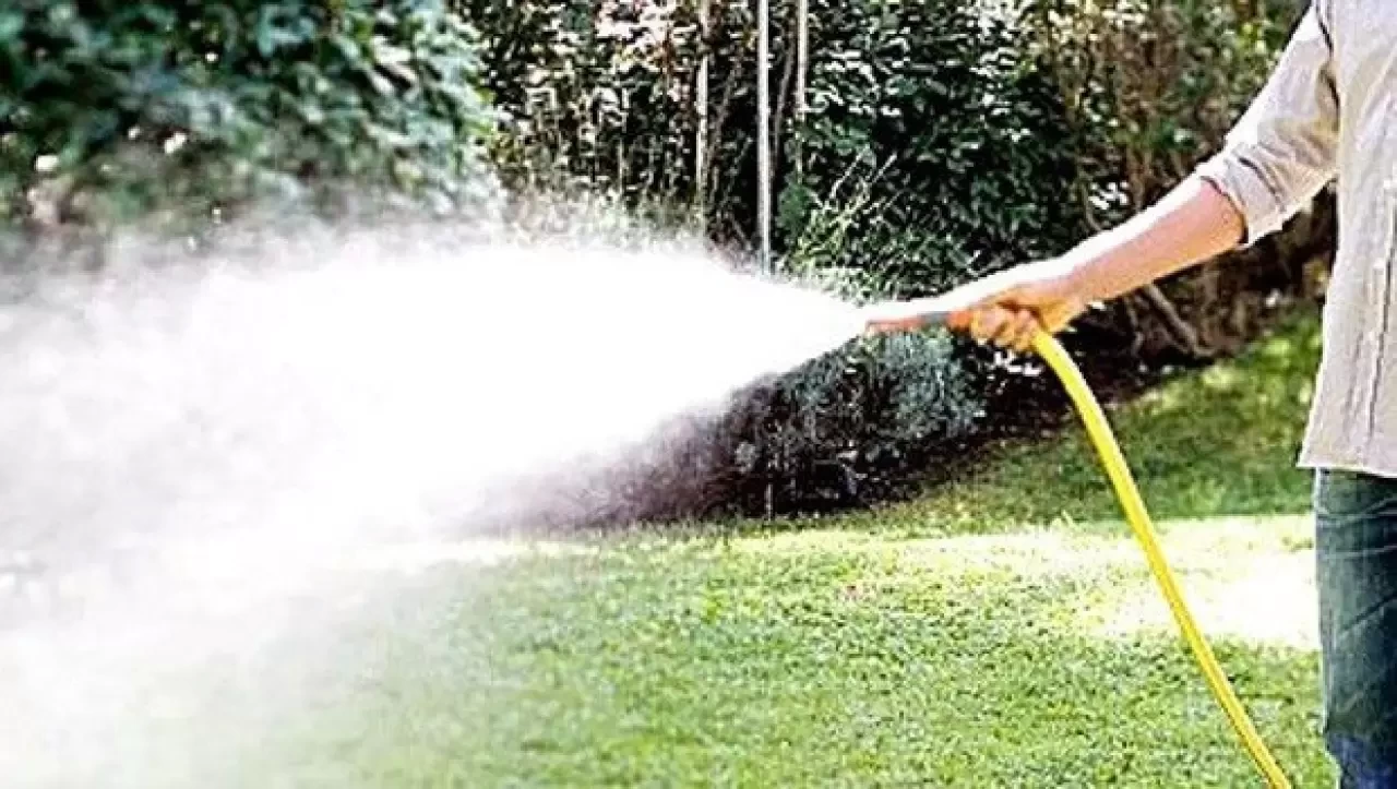 Rüyada Ağaç Sulamak Ne Anlama Gelir? | Rüya Tabiri ve Yorumu