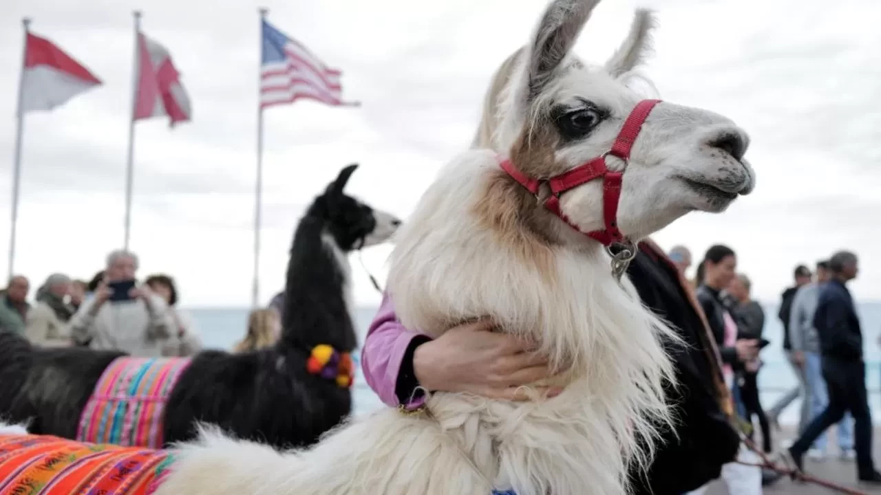 Lamadan gelen umut: Şizofreni tedavisinde nanokor dönemi