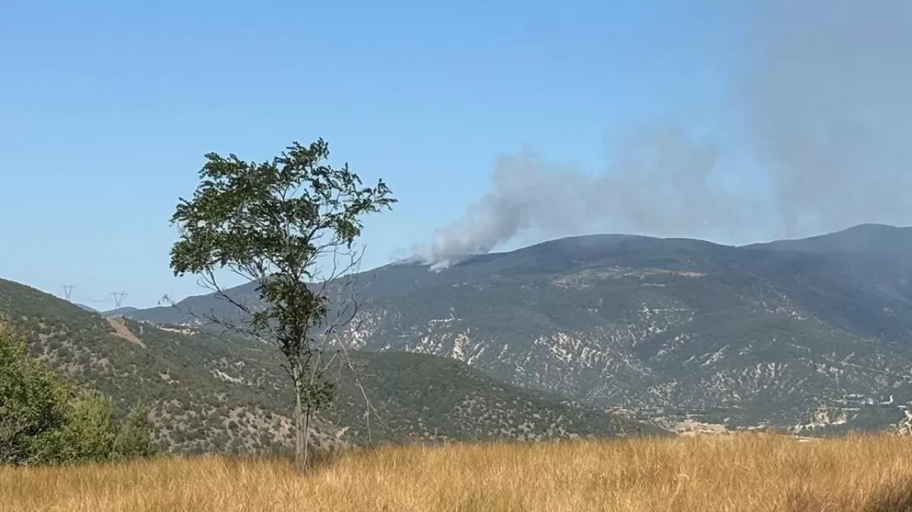 Çankırı'da orman yangını!