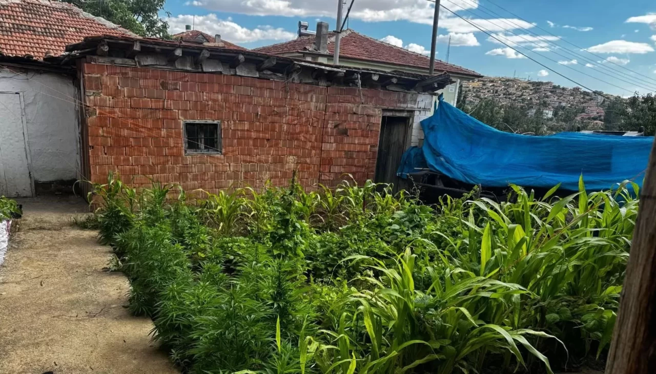 Kırıkkale'de uyuşturucu operasyonu: Aynı aileden 3 şüpheliye gözaltı