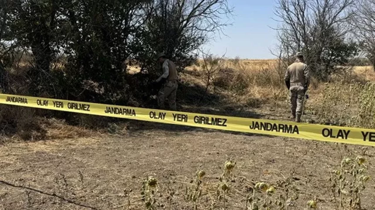Edirne'de korkunç olay: Ayçiçeği tarlasında kadın cesedi bulundu