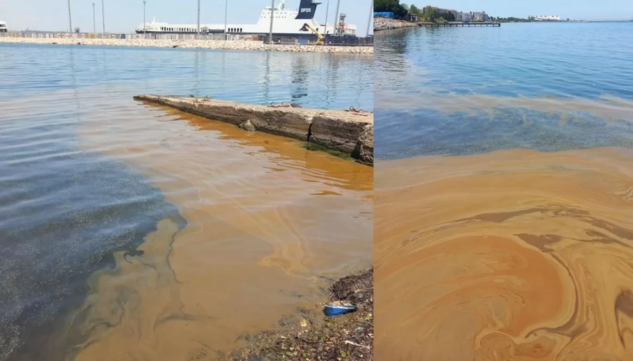 Yalova'da deniz kirliliğine sebep olan fabrikaya inceleme