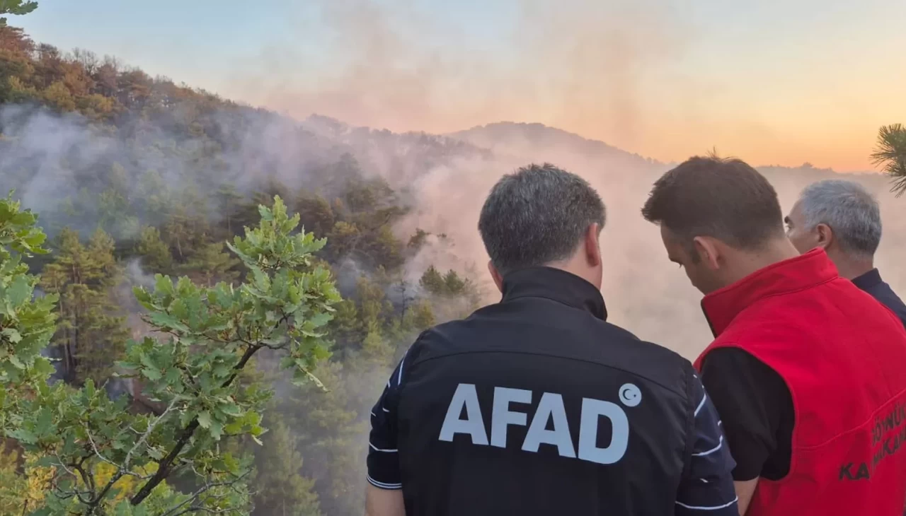 Bolu’daki orman yangını kontrol altına alındı
